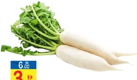 Radish White