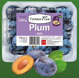Terraviva Plum
