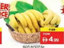 موز إكوادور