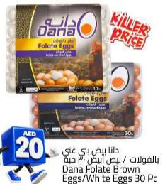 dana دانا بيض بني غني بالفولات