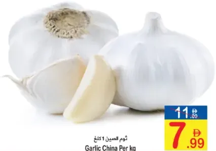 Garlic China