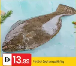 Halibut (Ayiram Palli)