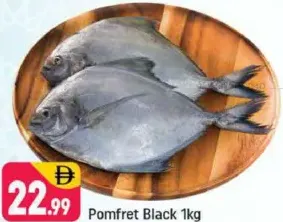 Pomfret Black