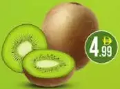 Kiwi