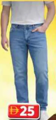 Stapple Mens Jeans Pant