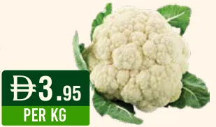 Cauliflower Jordan/Pumpkin White