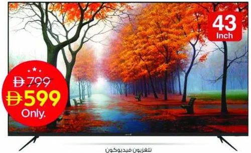Videocon Edgeless Smart LED TV 43" E43EL1100