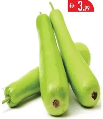 Bottle Gourd