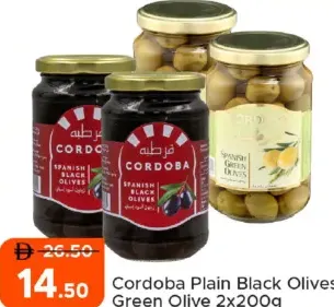 Cordoba Plain Black Olives/ Green Olive