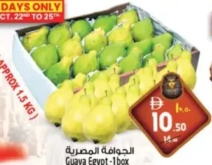 Guava Egypt