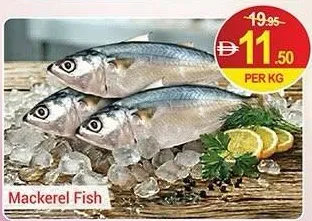 Mackerel Fish