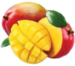 Mango Egypt