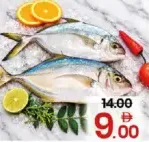 Kaduvappara Fish
