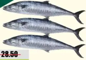 سمك كنعد