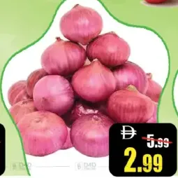 Onion Egypt