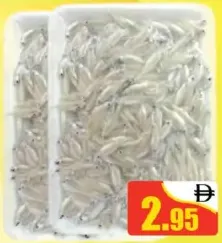 Pran Keski Jumbo