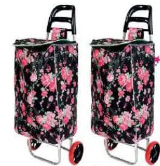 Shopping Trolley Assorted