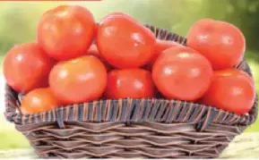 Tomato (Green House)