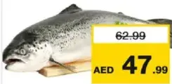 Norwegian Salmon Whole
