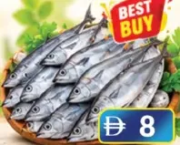 Tuna Fish