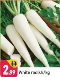 Radish White