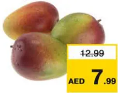 مانجو كيت