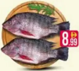 Tilapia
