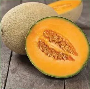 شمام حلو هندي