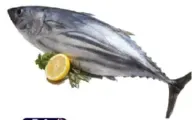 Tuna