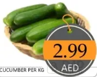 Cucumber