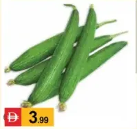 leef