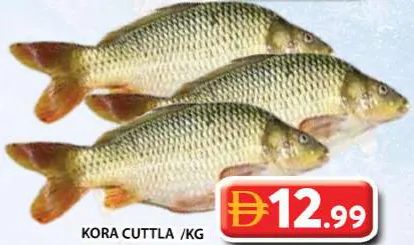 Kora Cuttla