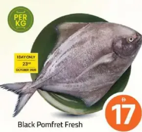 Black Pomfret Fresh