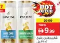 Pantene Shampoo Assorted