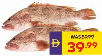 Fresh Hamour