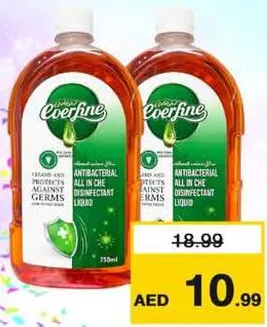 Everfine Antiseptic Liquid