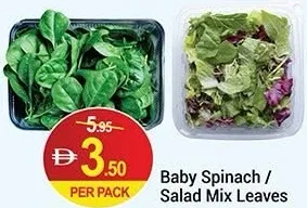 Baby Spinach / Salad Mix Leaves