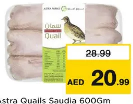 Astra Quails Saudia