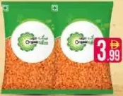 Organic Spices Masoor Dal