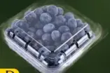 Blue Berry
