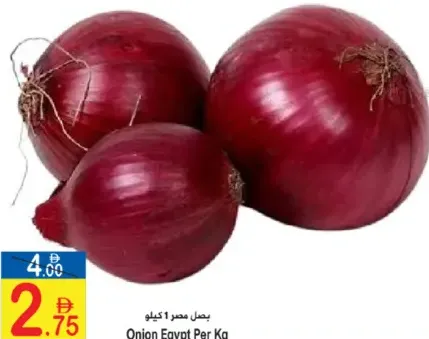 Onion Egypt