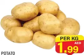 بطاطس