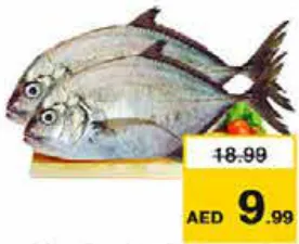 سمك بارا طازج