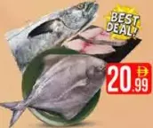 King Fish / Black Pomfret