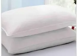Perinna Pillow Assorted