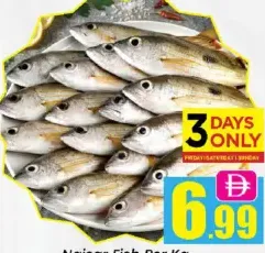 Naisar Fish