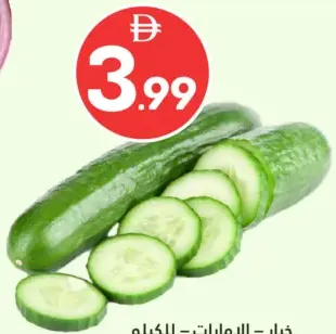 Cucumber