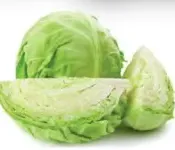 ملفوف