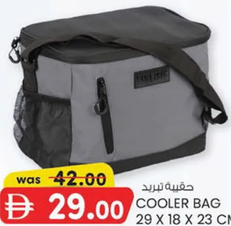 حقيبة تبريد
