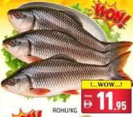 Rohu